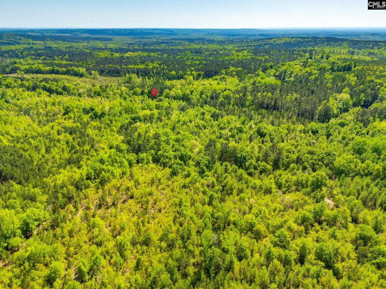 Black River Road  Photo 4