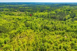 Black River Road  photo 4