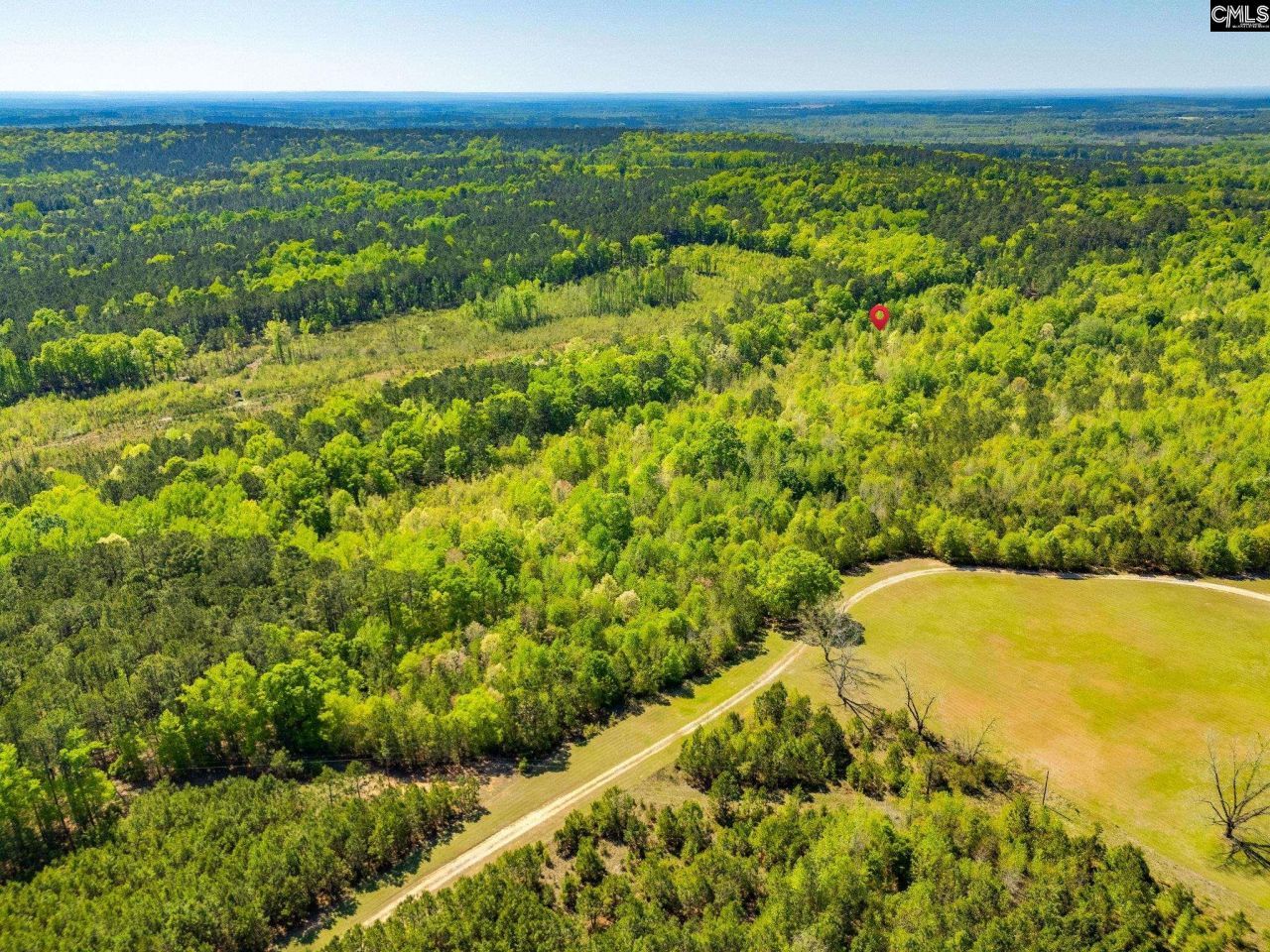 Black River Road  Photo 5