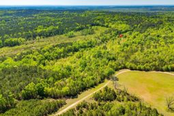 Black River Road  photo 4