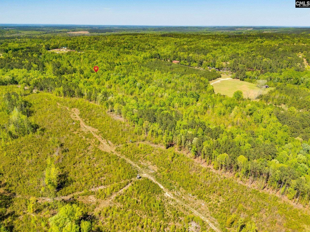 Black River Road  Photo 8