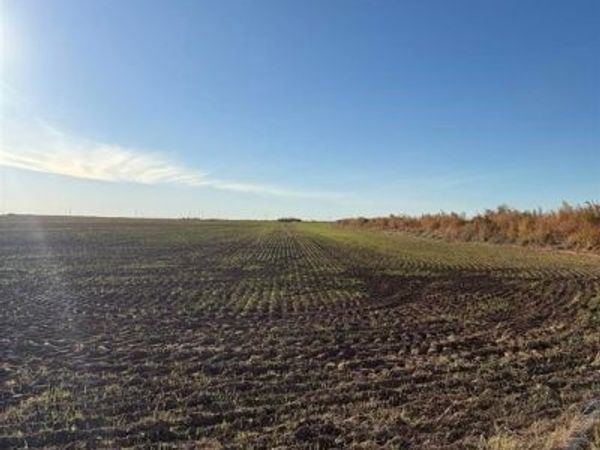 tbd CO RD 4313 , Munday, TX 76371