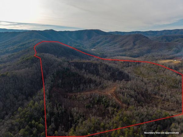 156+ AC Higdon Creek Road, Blue Ridge, GA 30513