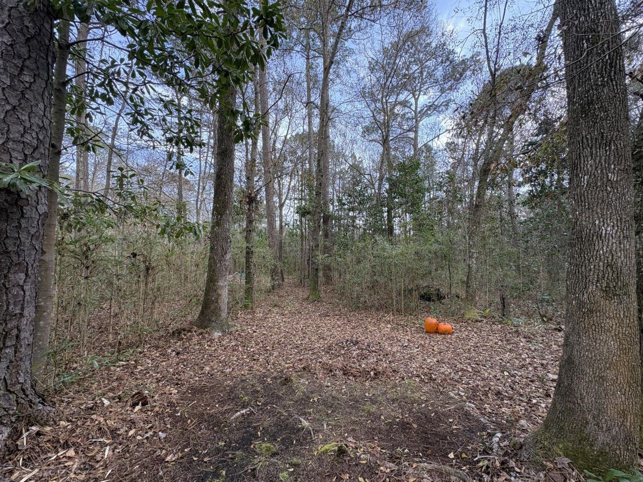 7205 Highway 162 Photo 27