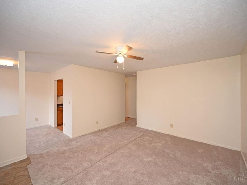 141 E McKinley Street, South Lebanon, OH 45065 Photo 9