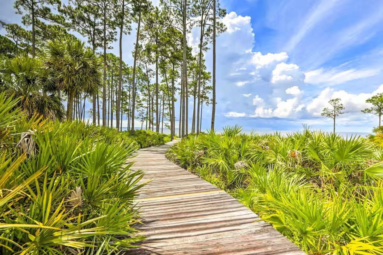 111 Winding Trail Way , Sopchoppy, FL 32358 Photo