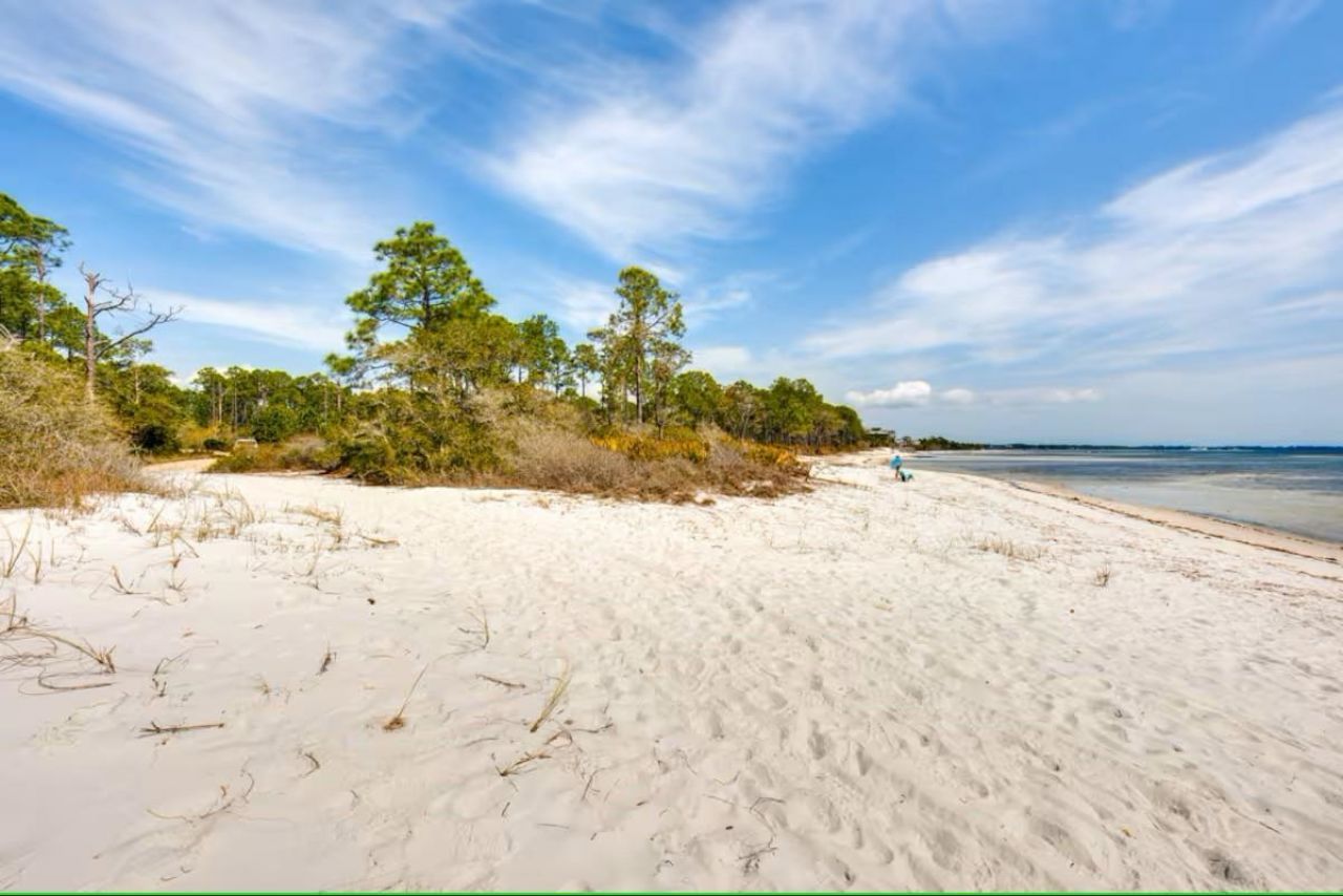 111 Winding Trail Way , Sopchoppy, FL 32358 Photo