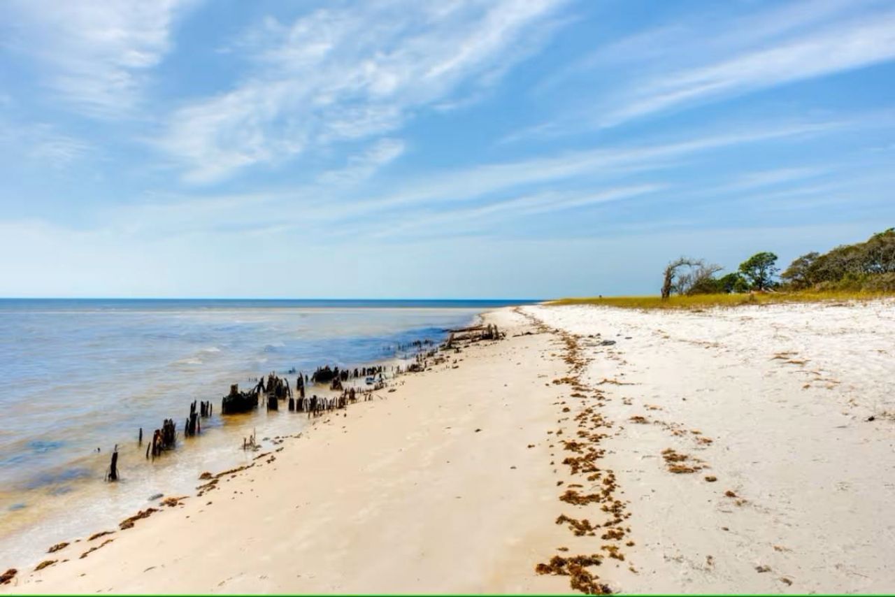 111 Winding Trail Way , Sopchoppy, FL 32358 Photo