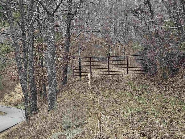 00 McComas Branch Road, Milton, WV 25541