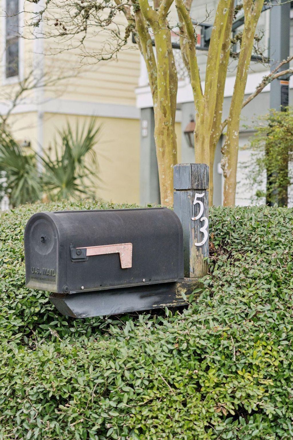 53 Morgans Cove Drive Photo 5