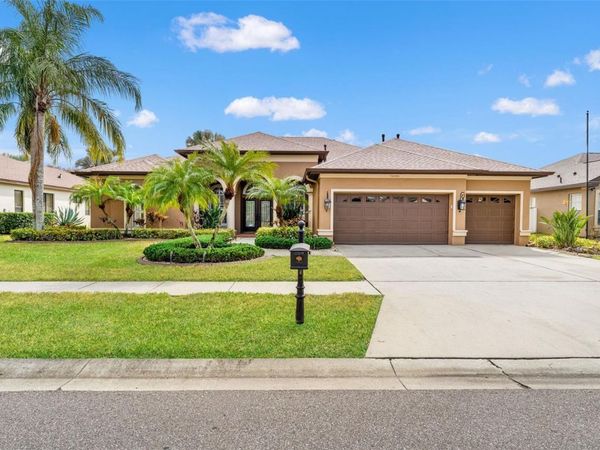 19820 STRATHMORE PLACE, LAND O LAKES, FL 34638