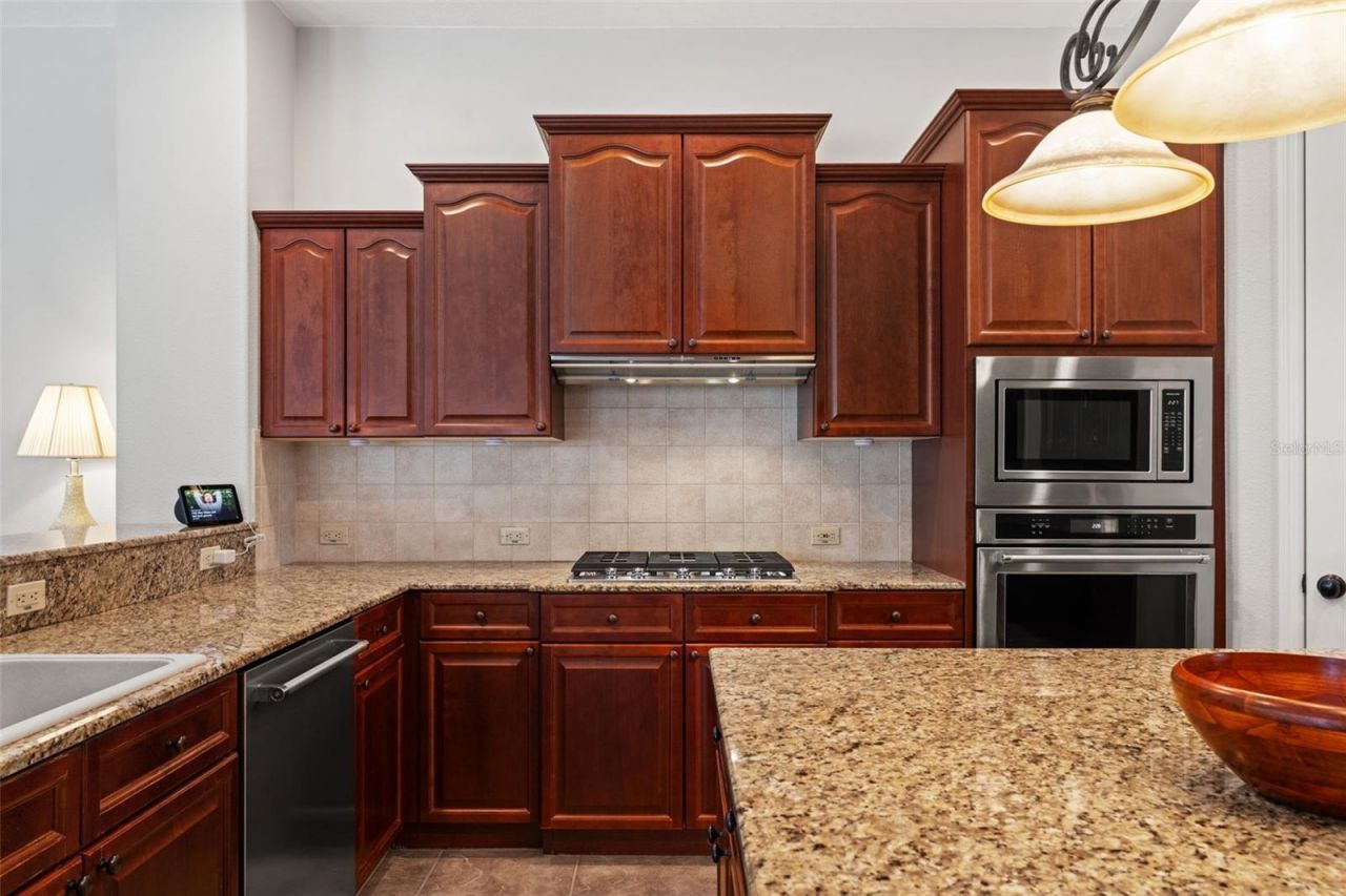 19820 Strathmore Place, Land O Lakes, FL 34638 Photo