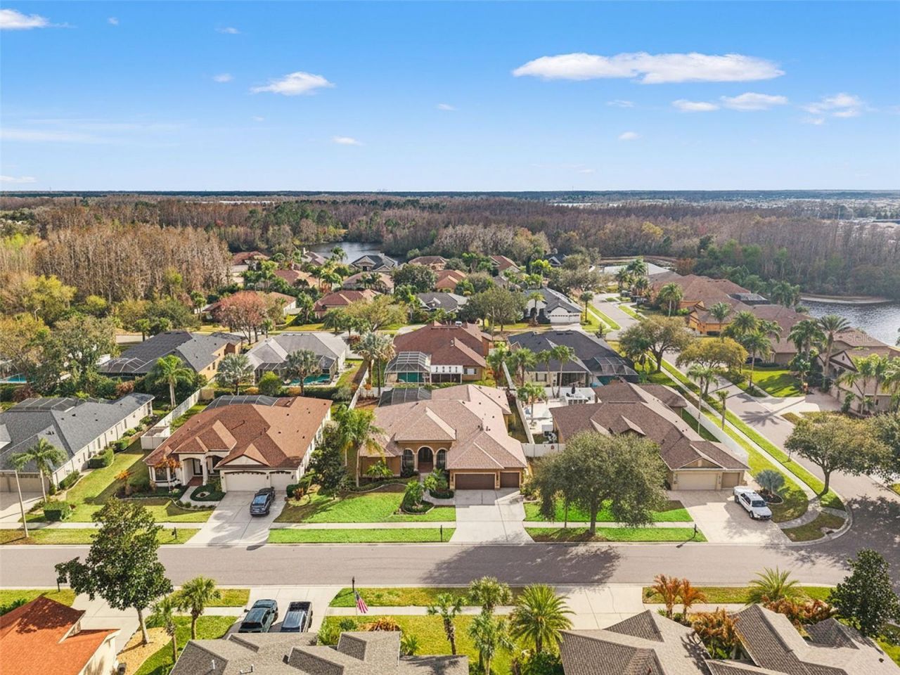 19820 Strathmore Place, Land O Lakes, FL 34638 Photo