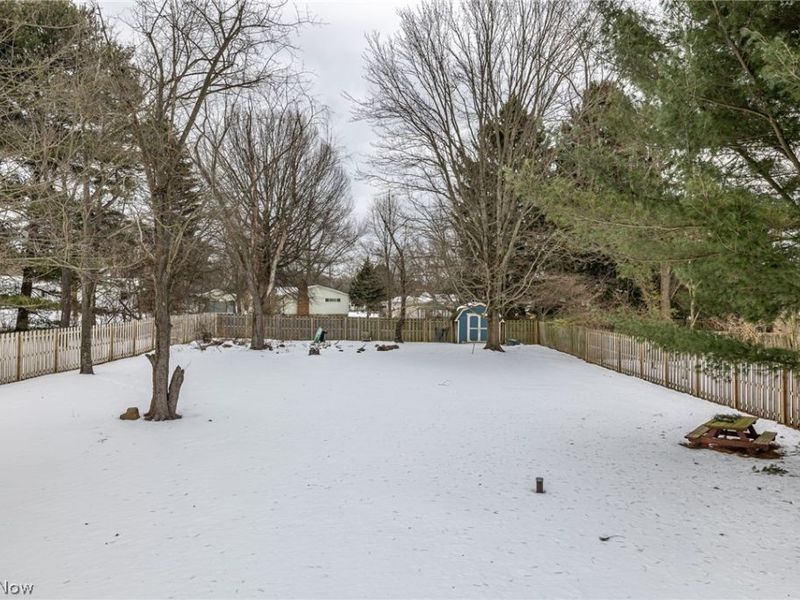 1569 Denise Drive, Copley, OH 44321 Photo 37