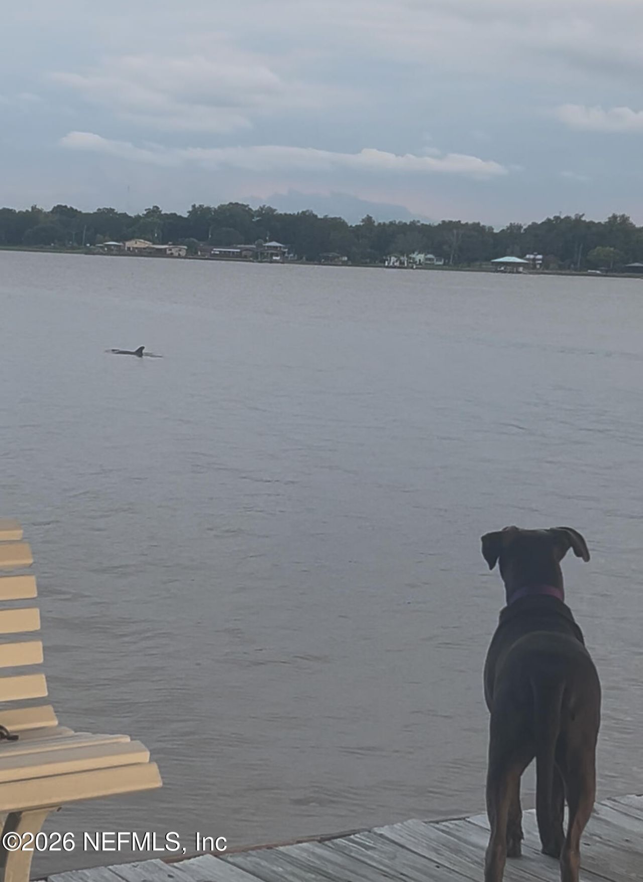 500 Broward Road, Jacksonville, FL 32218 Photo