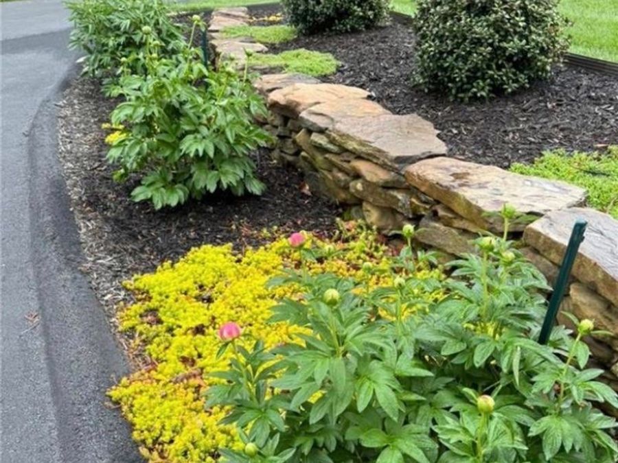 Property Image 66