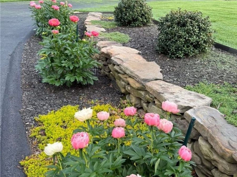 Property Image 67