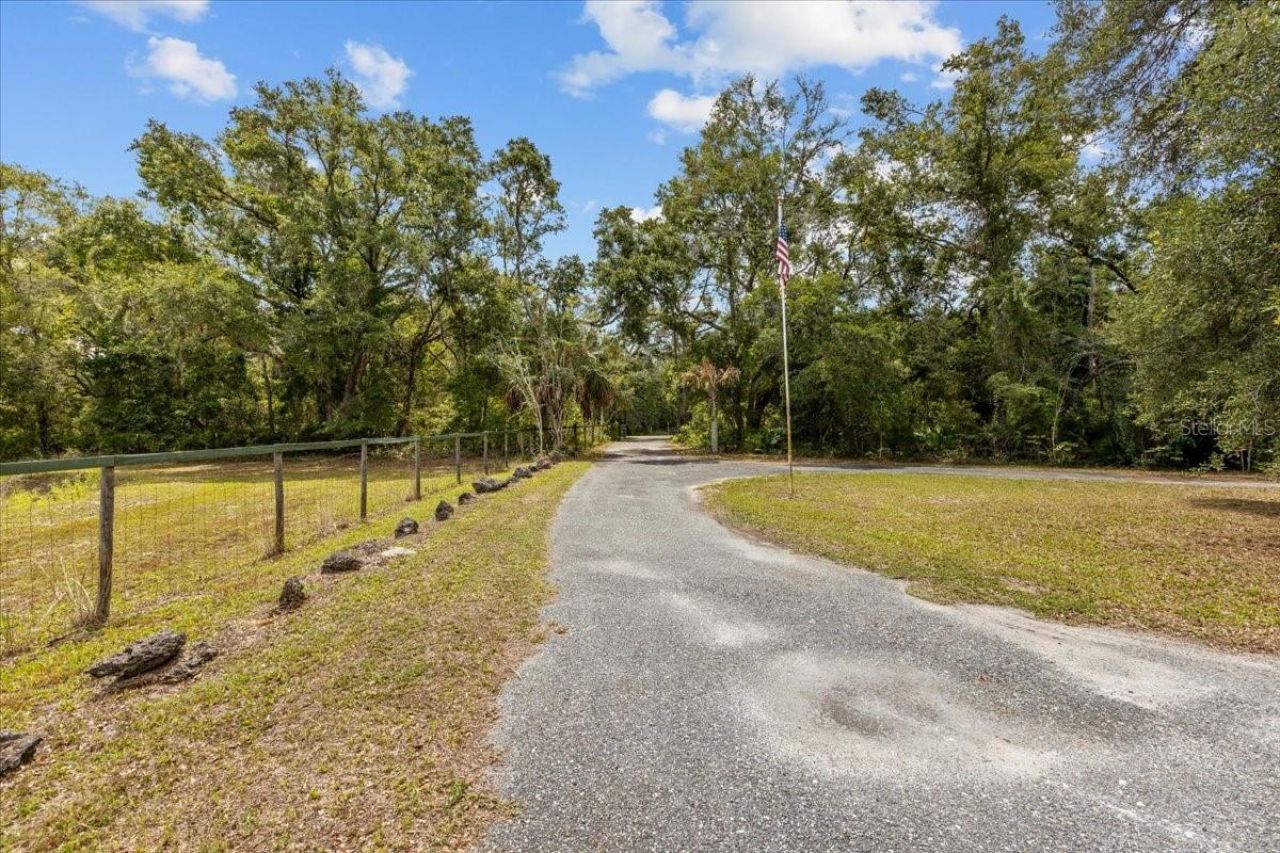 303/305 NE 290th Avenue, Old Town, FL 32680 Photo