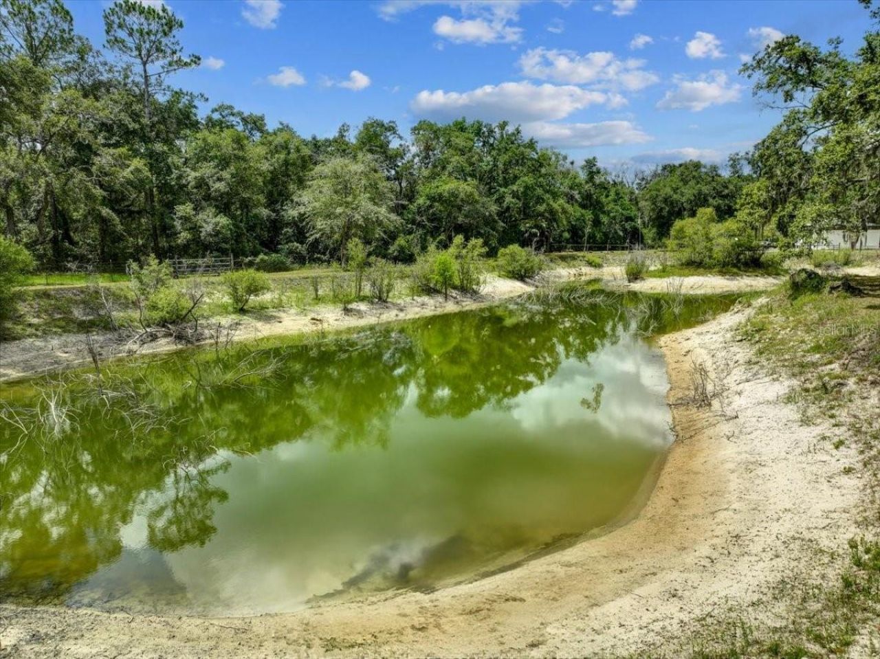 303/305 NE 290th Avenue, Old Town, FL 32680 Photo