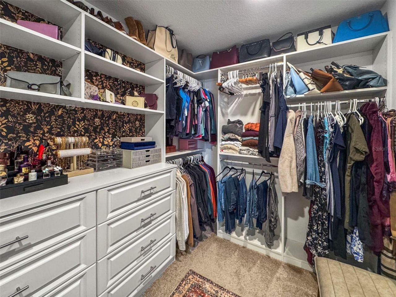 33260 Kateland Drive, Wesley Chapel, FL 33545 Photo