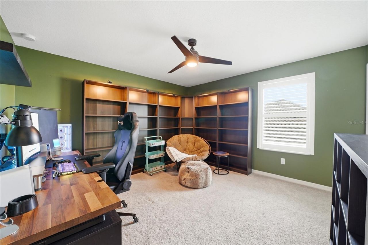 33260 Kateland Drive, Wesley Chapel, FL 33545 Photo
