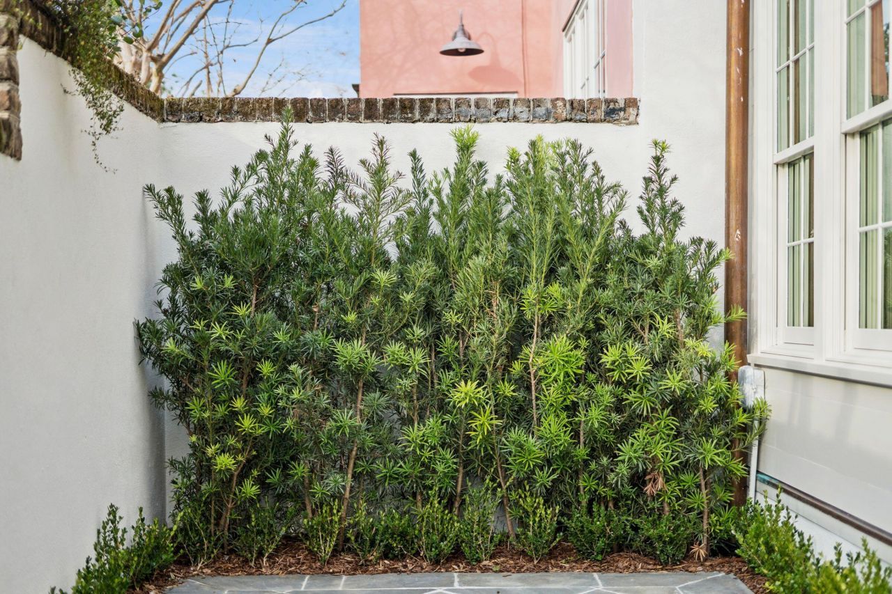 55 Concord Street Photo 42