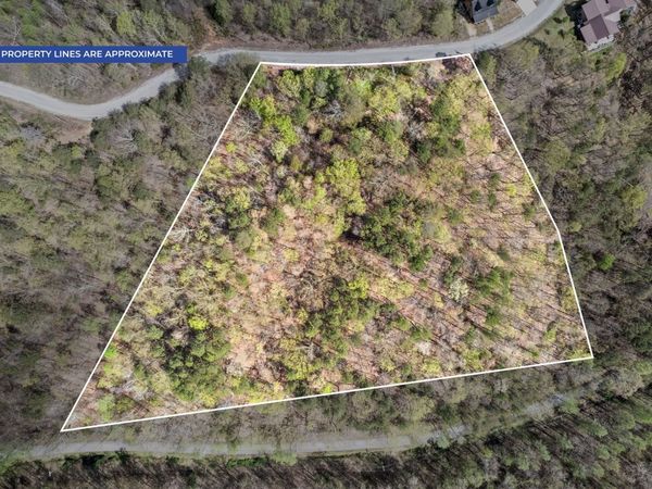 81 Crest Ct, Waverly, TN 37185