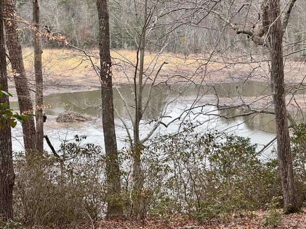 9E&9F Beech Tree Lane, TAPPAHANNOCK, VA 22560