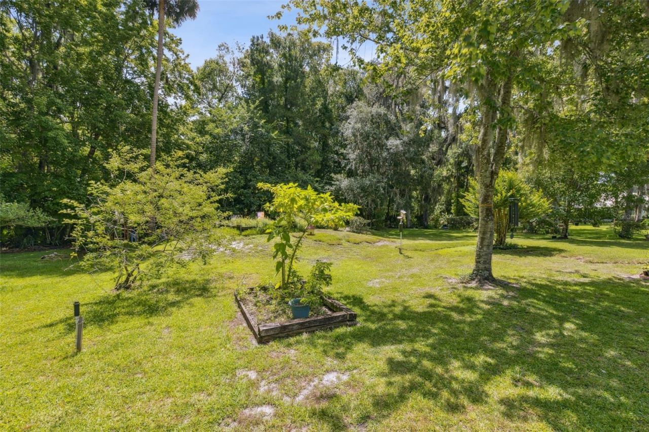 166 Mount Royal Avenue, Crescent City, FL 32112 Photo