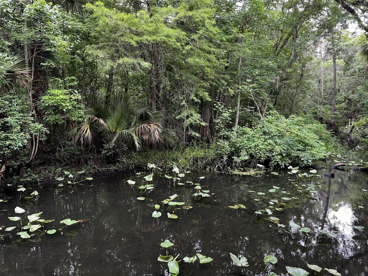 166 Mount Royal Avenue, Crescent City, FL 32112 Photo