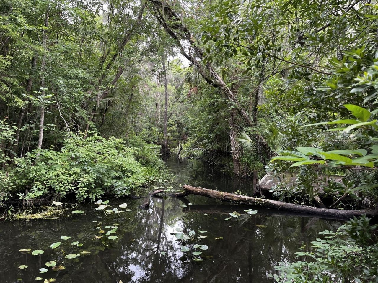 166 Mount Royal Avenue, Crescent City, FL 32112 Photo