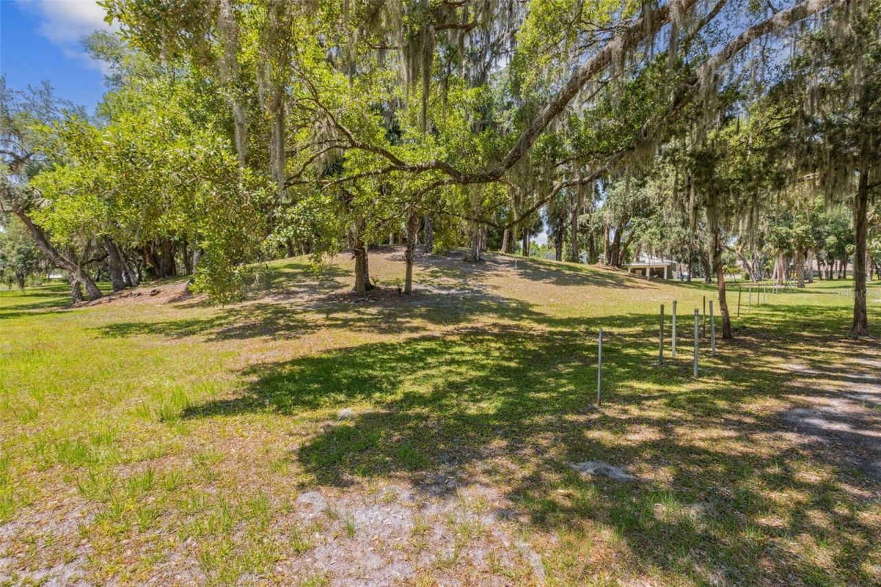 166 Mount Royal Avenue, Crescent City, FL 32112 Photo