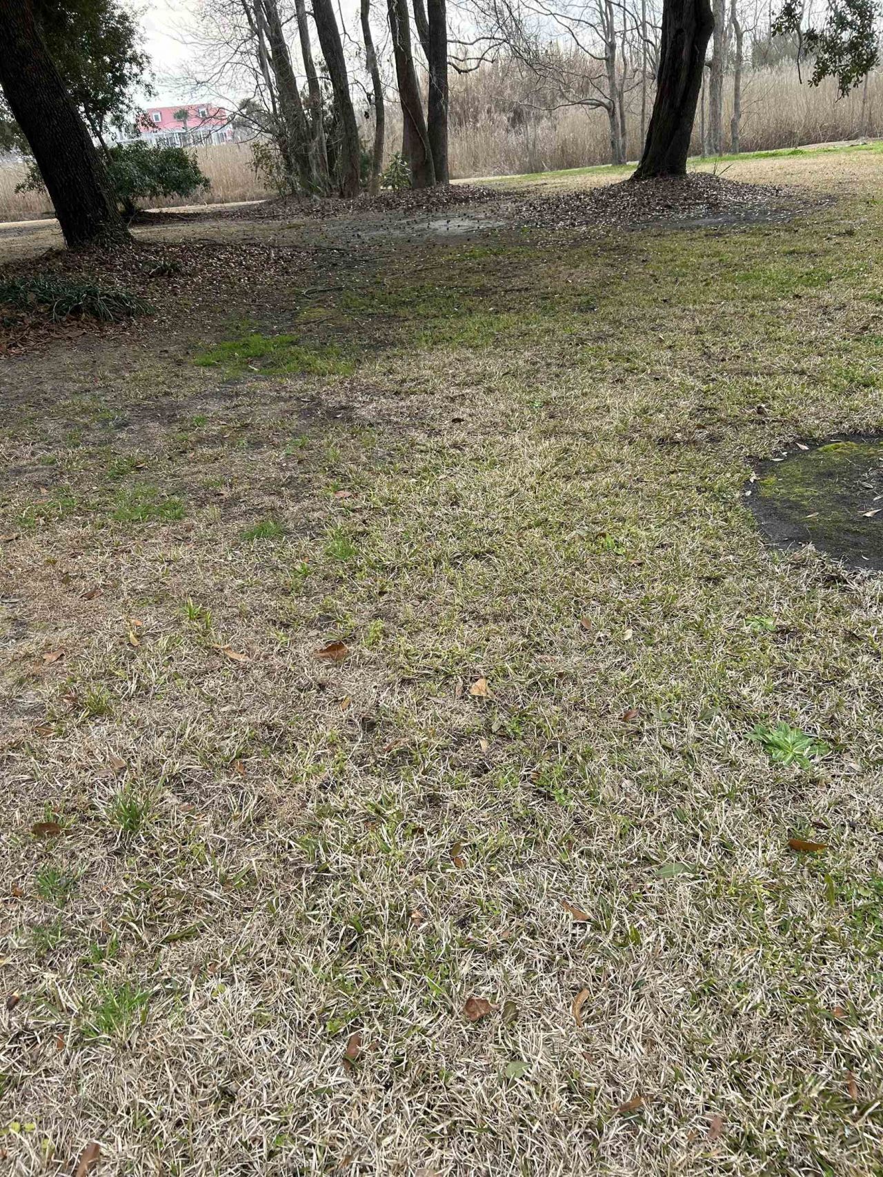 325 Kauffman St.  Photo 4