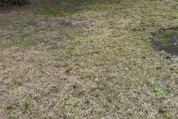 325 Kauffman St.  photo 4