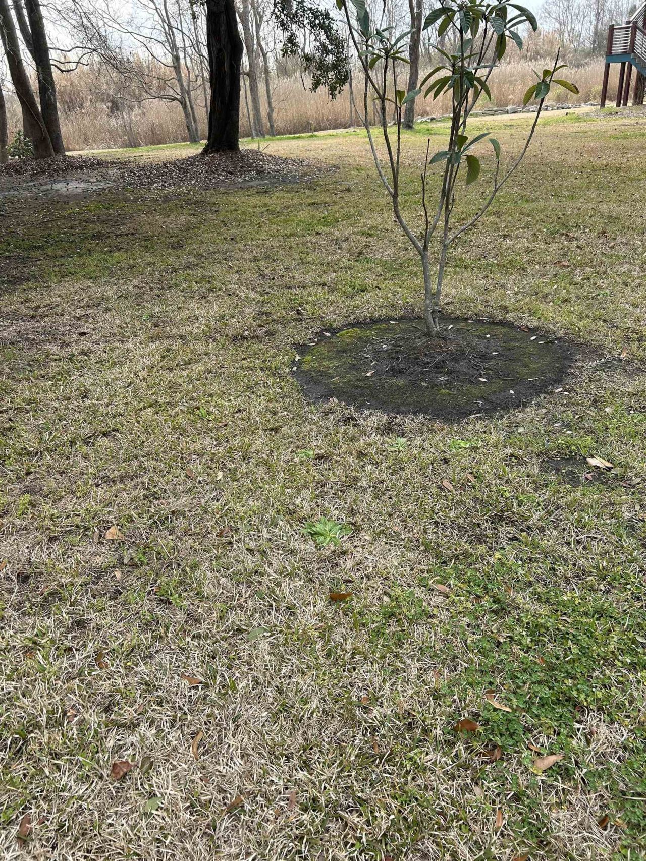 325 Kauffman St.  Photo 5