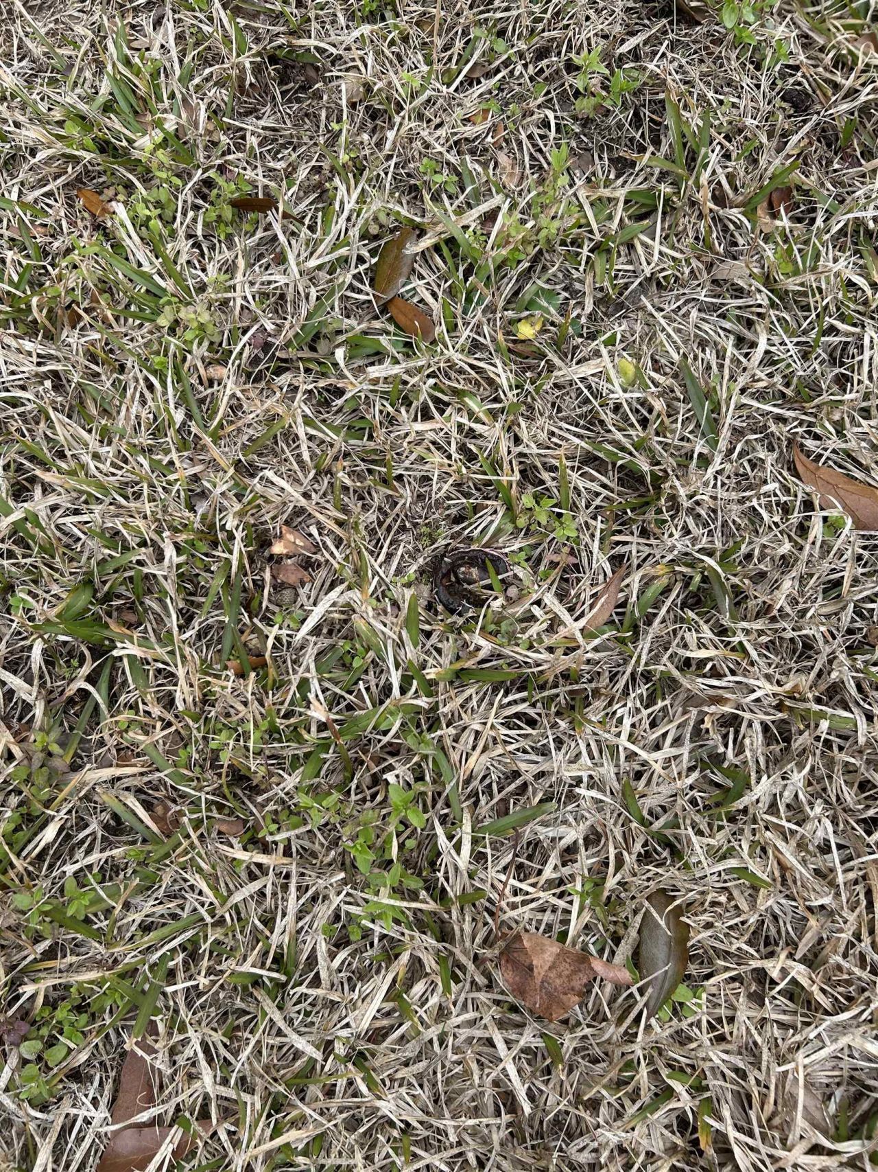 325 Kauffman St.  Photo 6