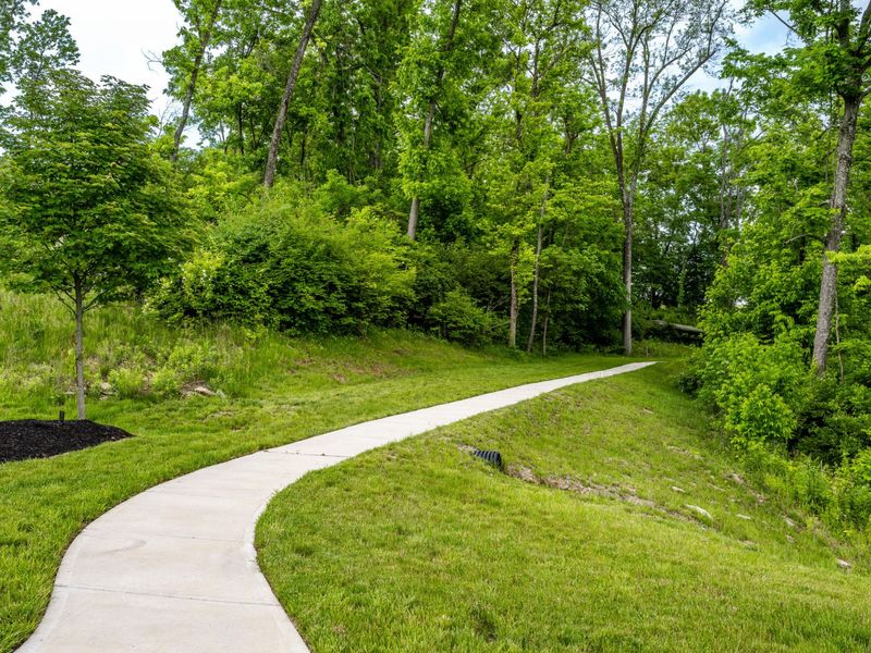 10529 Greenbrook Drive, Independence, KY 41051 Photo 11