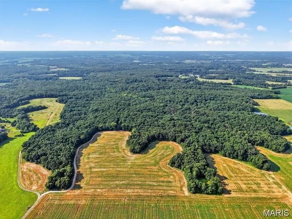 116.18 +/- Acres Highway DD , Bellflower, MO 63333