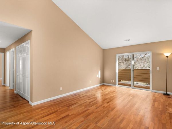 85 Meadowood Drive, Unit C-4, Carbondale, CO 81623