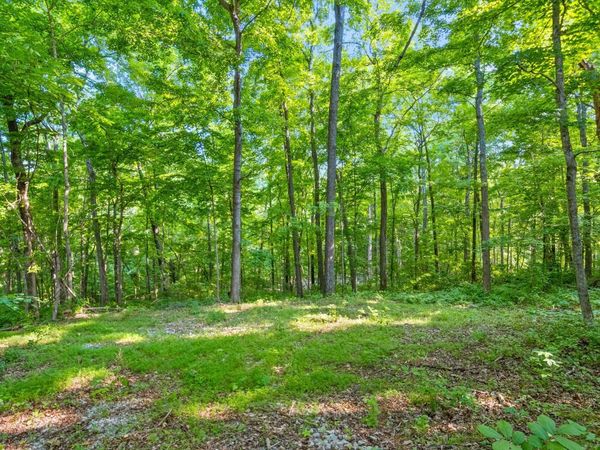 1 Ferry Rd , Clarksville, TN 37040