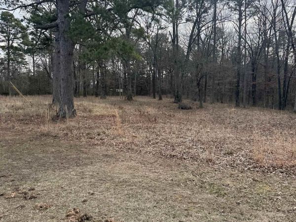 000 DONNIES DRIVE, Clinton, AR 72031