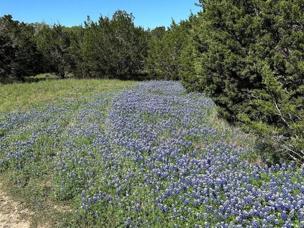 17 Heathrow LN, Wimberley, TX 78676