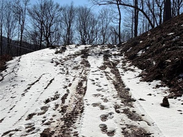 000 Fox Den Road, Mars Hill, NC 28754