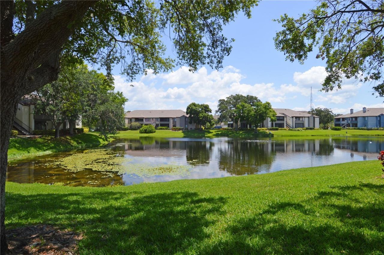 10265 Gandy Boulevard N, Unit 1405, Saint Petersburg, FL 33702 Photo
