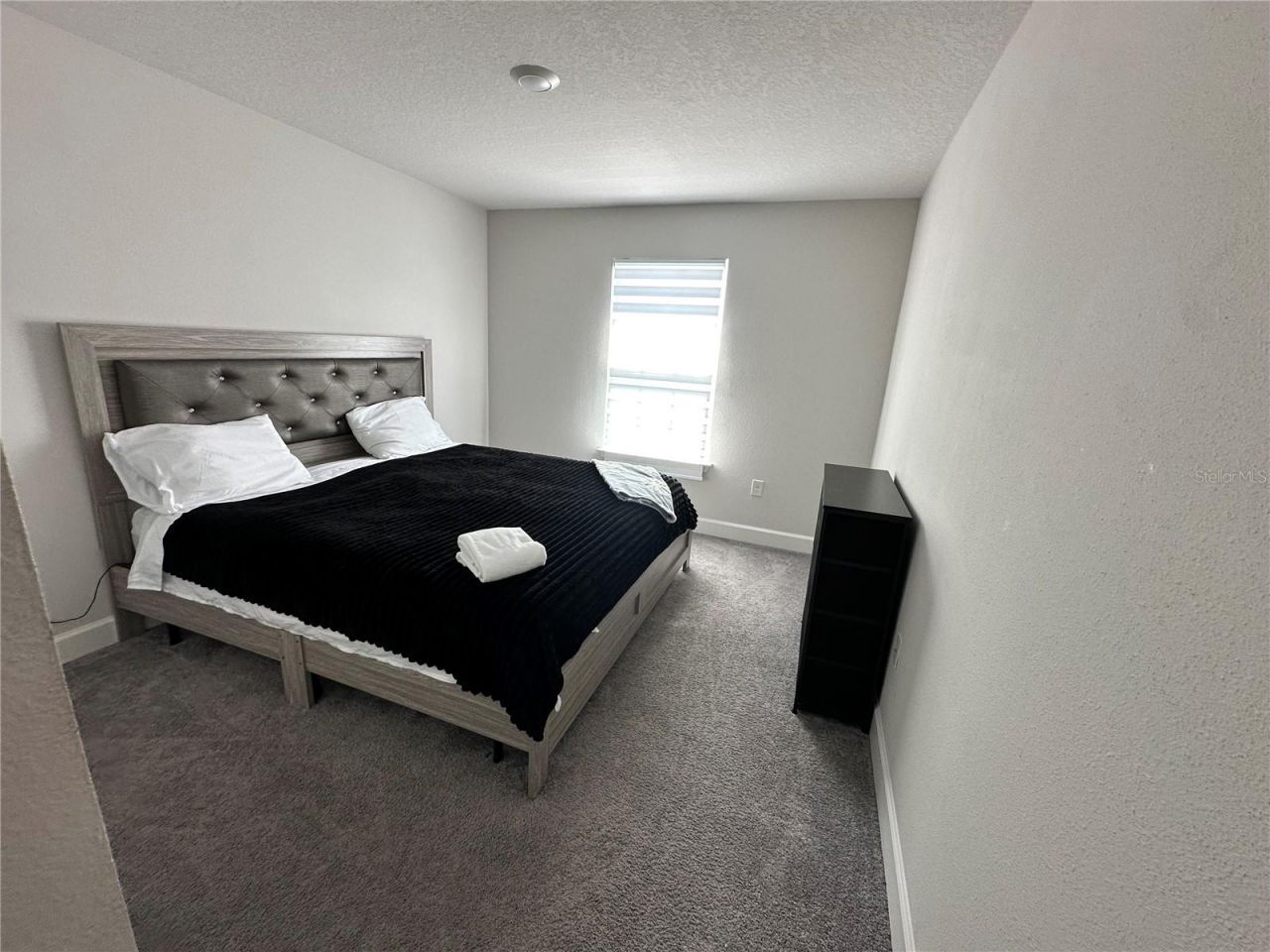 36097 Welsh Glade Road, Dade City, FL 33525 Photo