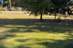 1229 Porchers Bluff Road photo 4