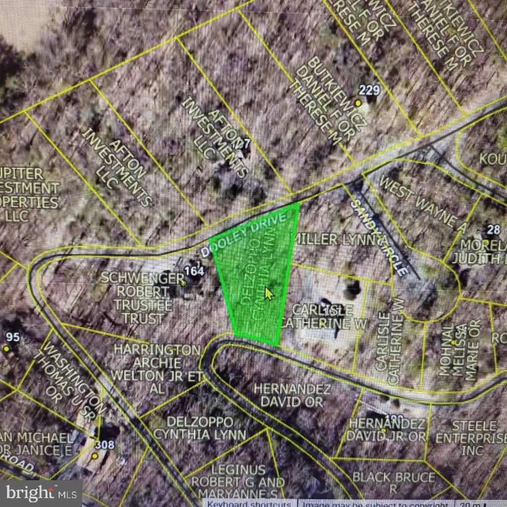 Lot 49 Dooley, Basye, VA 22810 Main Photo