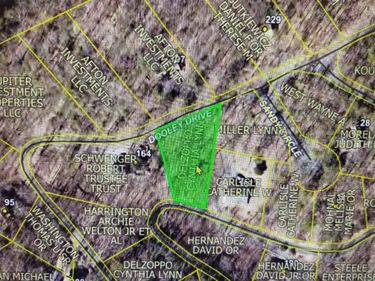 Lot 49 DOOLEY, BASYE, VA 22810