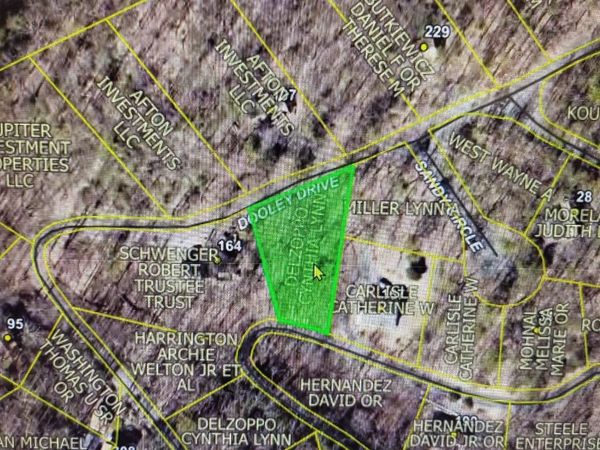 Lot 49 DOOLEY, BASYE, VA 22810