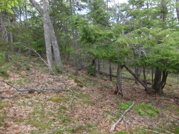 0 Hatchet Mountain Road, Hope, ME 04847